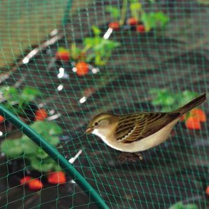 Bird net