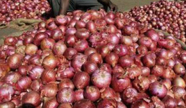 Russet onion