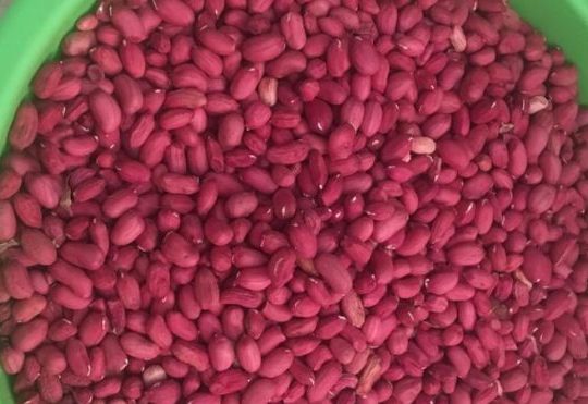 Red Groundnuts for Sale