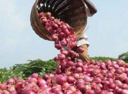 Onions for sale