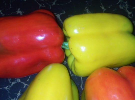 Red and yellow Pepper Bells