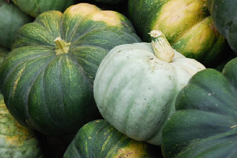farmers-market-kenya-our-aim-as-farmers-market-kenya-is-to-unlocked