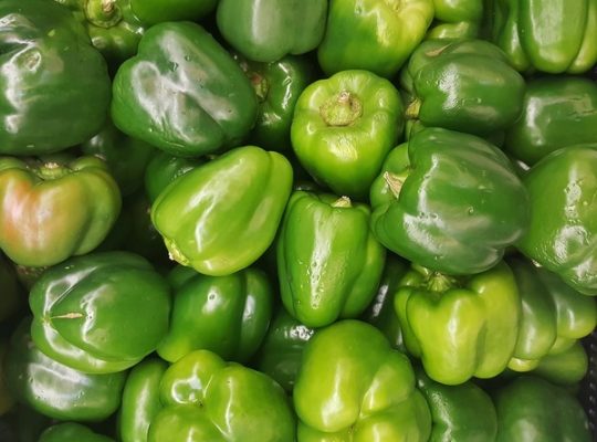 Capsicums available from 20th June – Kibwezi