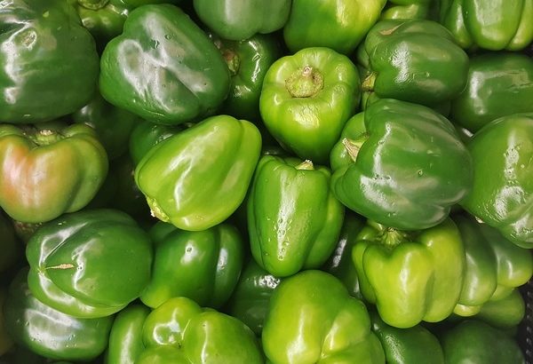 Capsicums available from 20th June – Kibwezi