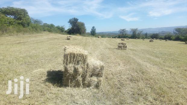 1000 BALES OF HAY FOR SALE (BOMA RHODES)