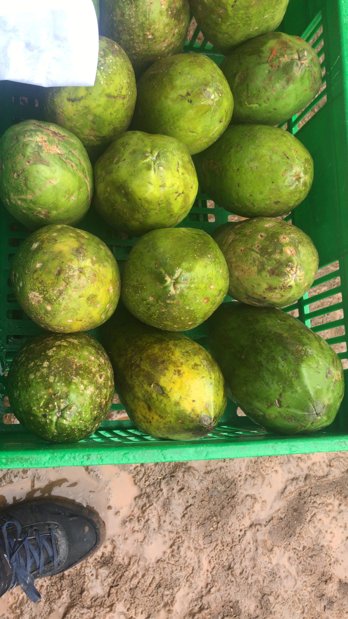 Jackie Farmers Market Kenya