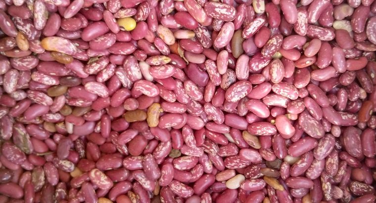 Fresh nyayo beans