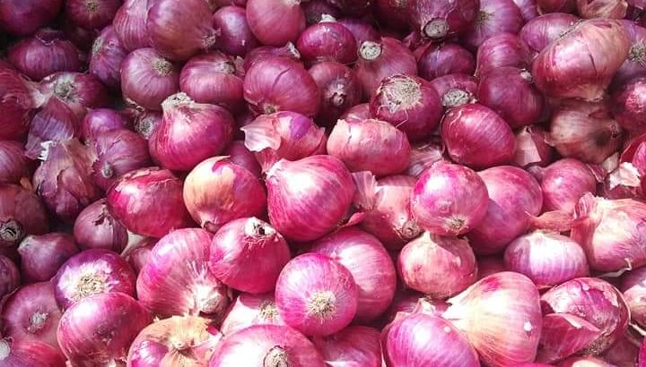 Bulb onions