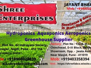 Commercial hydroponics Greenhouse