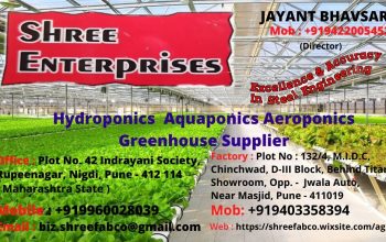Commercial hydroponics Greenhouse