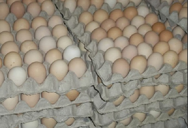 Kienyeji Chicken Eggs
