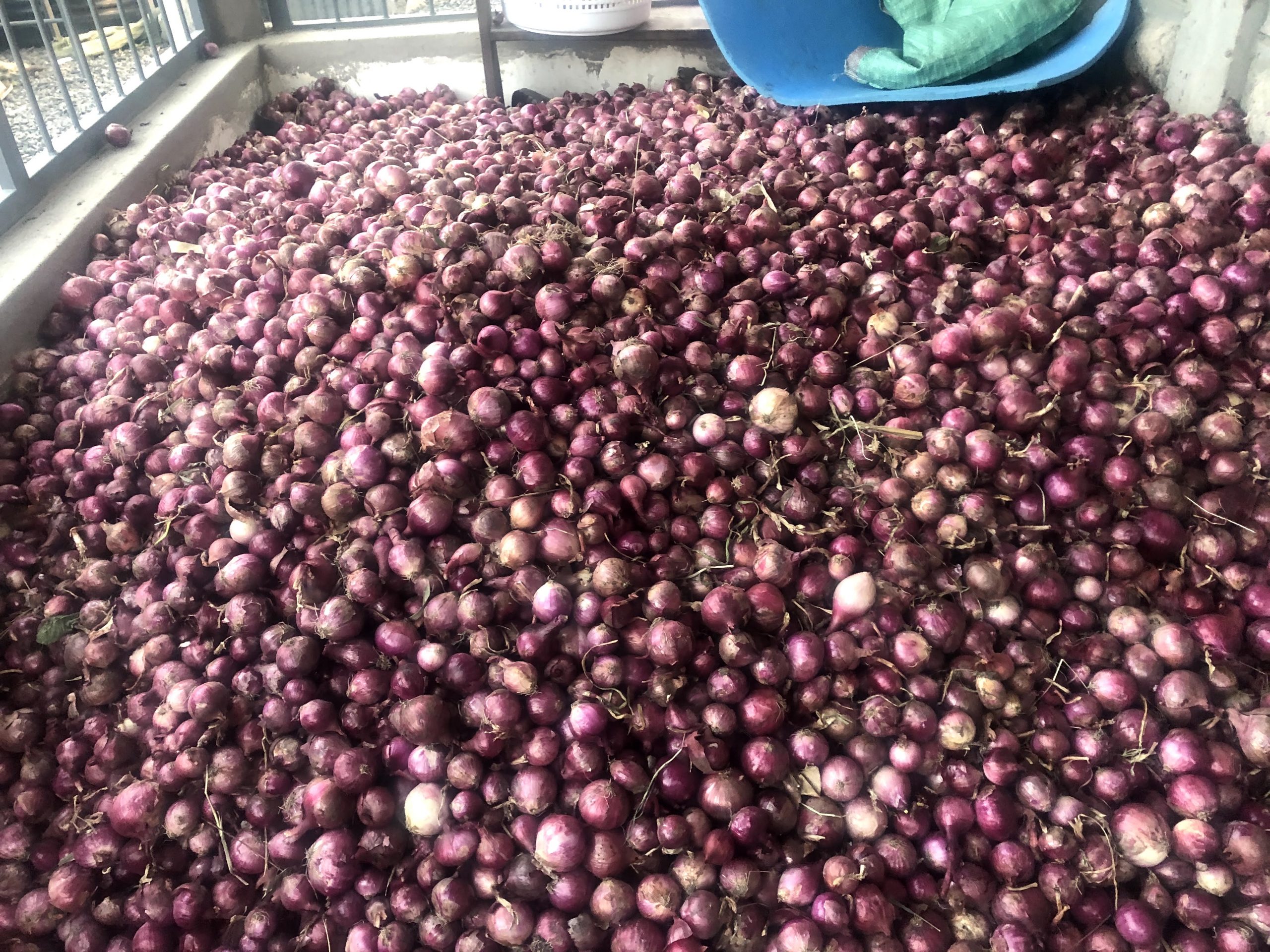 Dry onions - Farmers Market Kenya