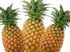 Looking for MD2 Pineapple