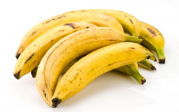 Plantain Bananas