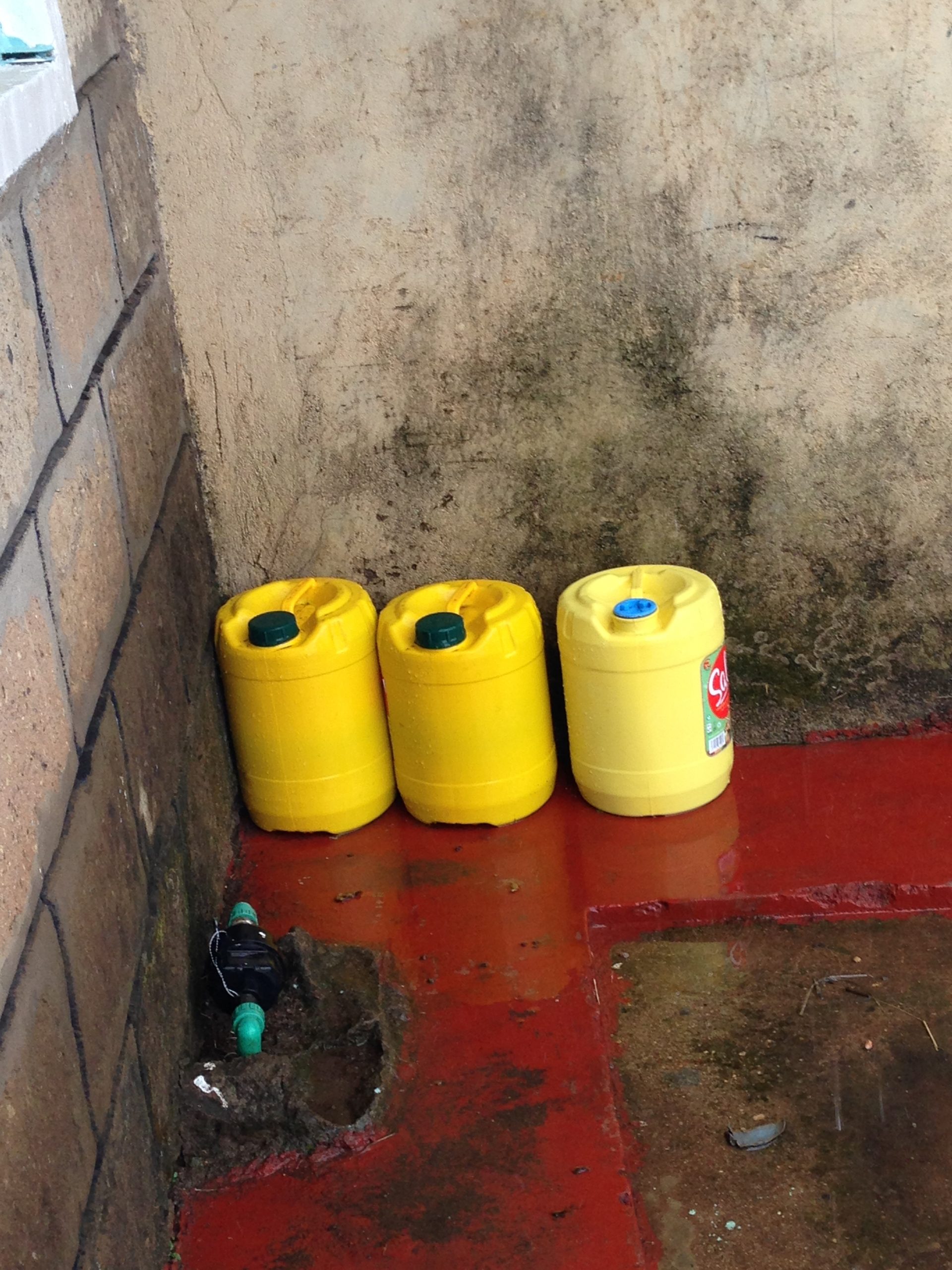 Raw rabbit urine Farmers Market Kenya