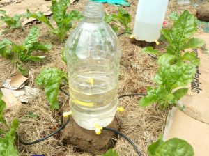 NoDig Cstomized Drip Irrigation