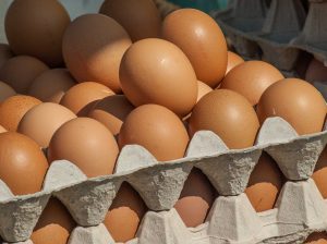layers eggs
