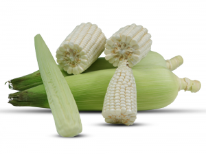 Green Maize