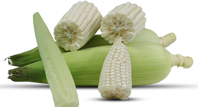 green maize