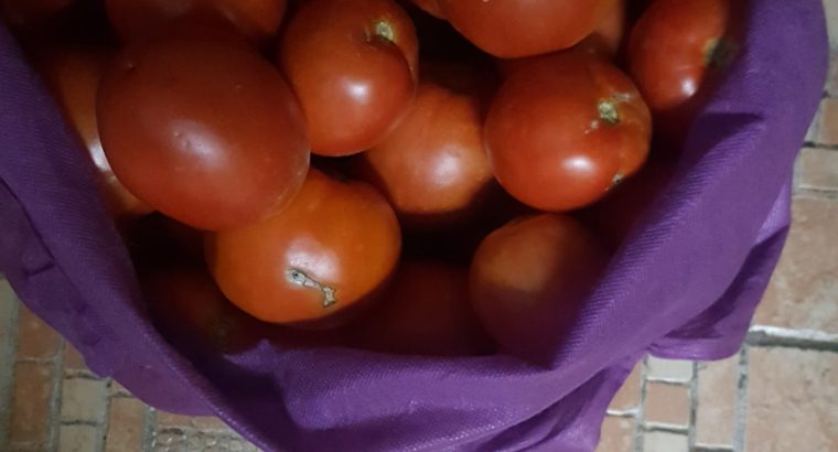 Selling Tomatoes