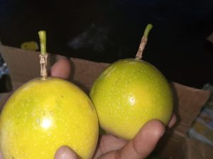 Yellow Passion Fruit (Organic)