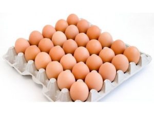 Layers eggs
