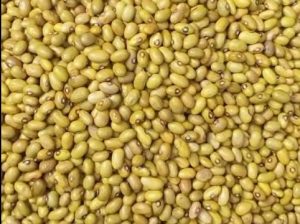 Yellow beans.