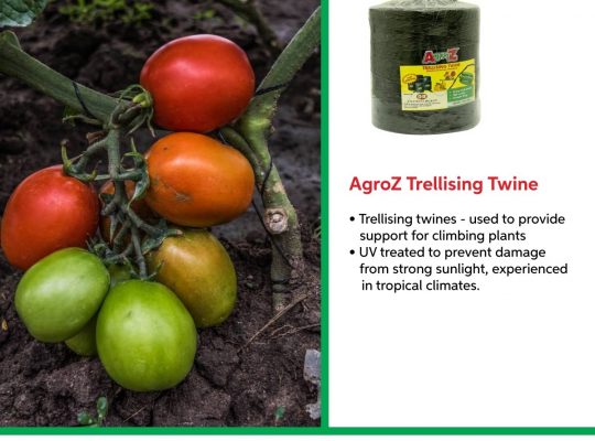 Trellising Twine