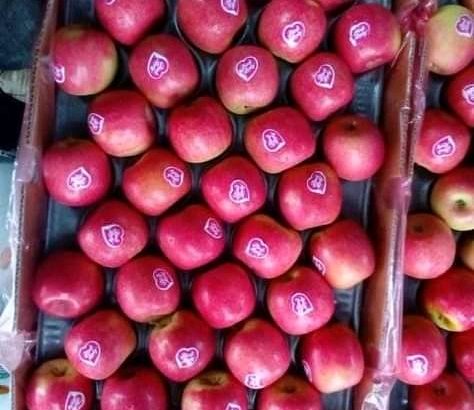 APPLES FOR SALE