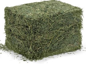 alfalfa hay bales for sale