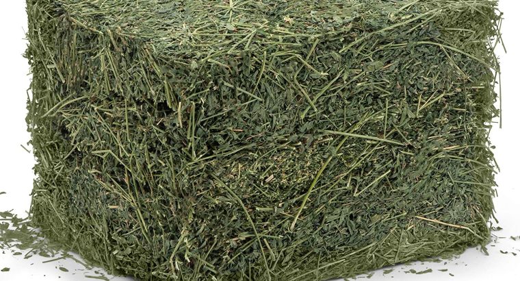 alfalfa hay bales for sale