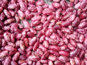 Rosecoco Beans