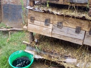 Rabbit urine for organic plant