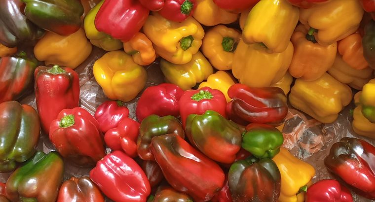 Red and Yellow Capsicum