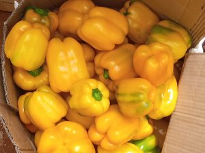 Red and Yellow Capsicum