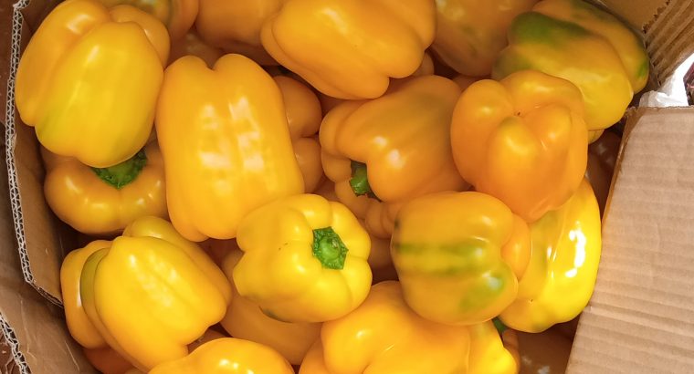 Red and Yellow Capsicum