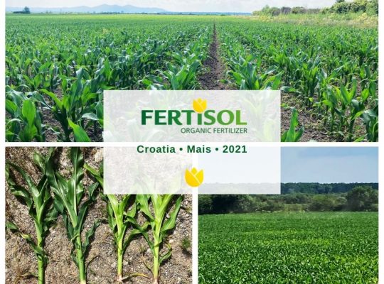 Fertisol Fertilizer