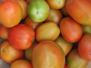 Tomatoes ksh1500