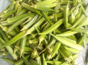 Fresh Okra