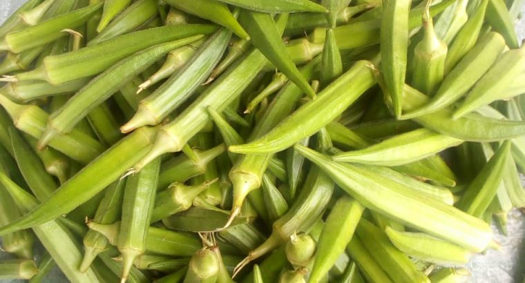 Fresh Okra