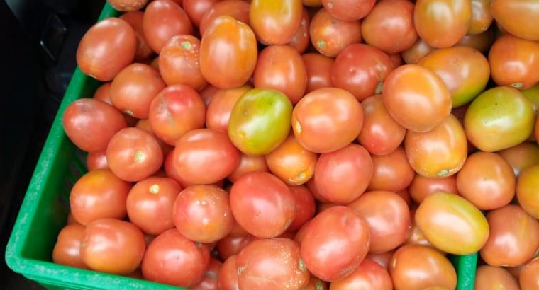 Tomatoes 🍅