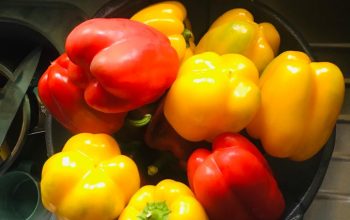 Red and Yellow Capsicum