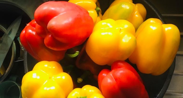 Red and Yellow Capsicum