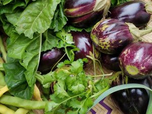 Eggplant/Brinjal Ready