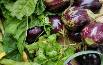 Eggplant/Brinjal Ready