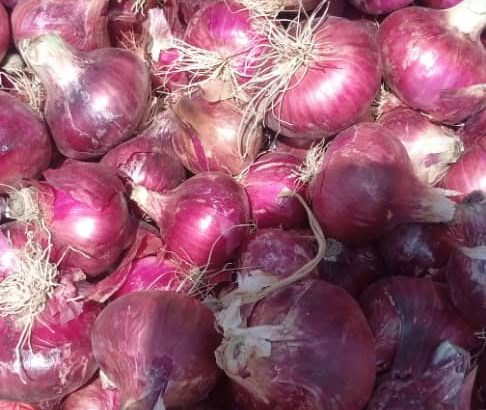 Fresh onions