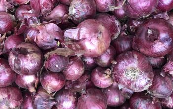 Red onions