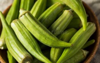 Fresh Okra