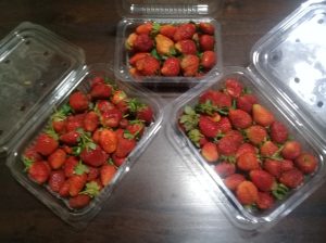 Fresh strawberries