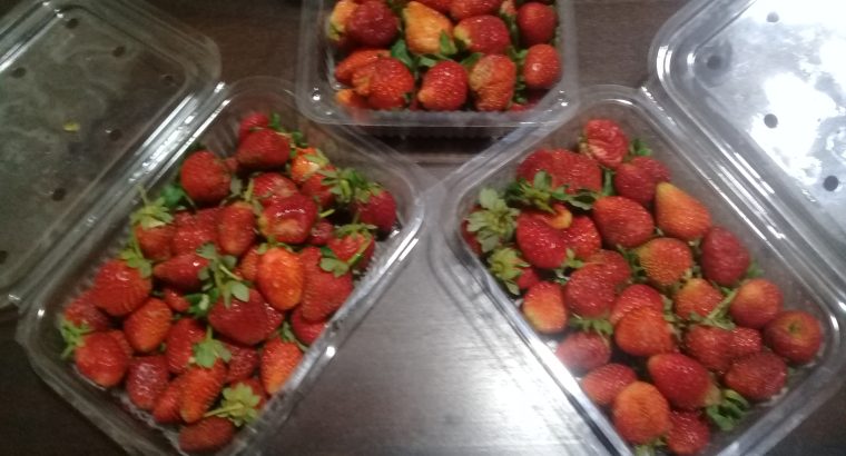 Fresh strawberries